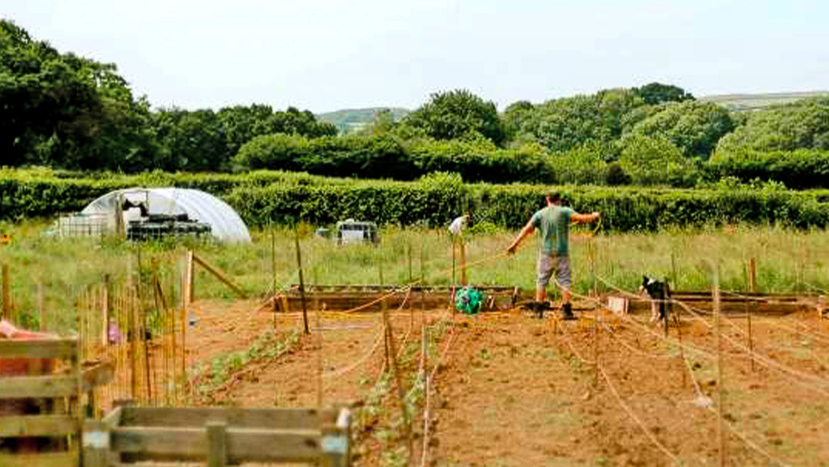 Tamar Grow Local farm-start tenant to be featured in national television show.
