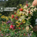 Landmatch England is recruiting!